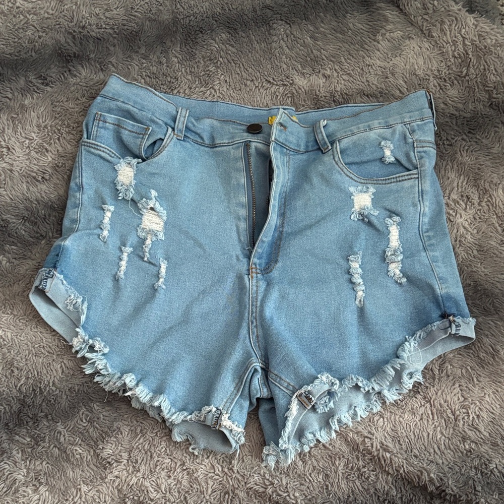 Daisy Light Blue Distressed Jean Shorts